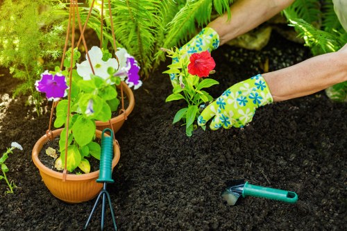 Gardener inspecting a lawn before mowing