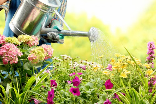 Lawn mowing service in Hornsey by our professional team