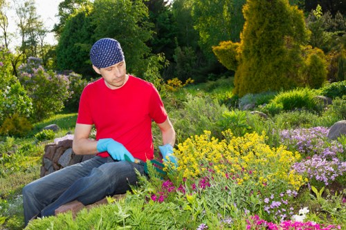 Sustainable garden practices in Hornsey including water conservation and soil health
