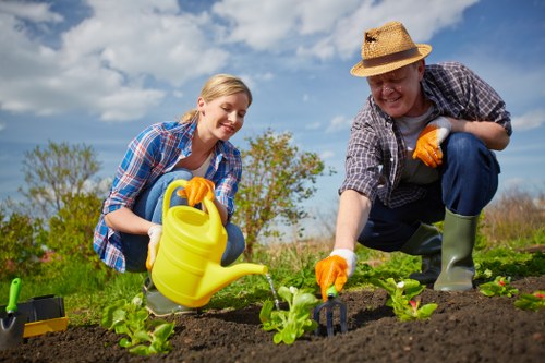 Comprehensive lawn care services including mowing and trimming