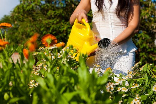 Professional landscaper planning garden design
