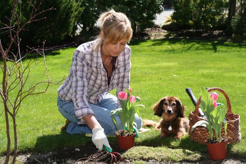 Professional lawn mowing service in action