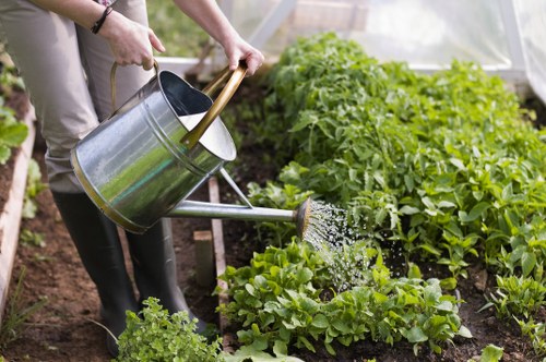 Garden assessment by clearance experts