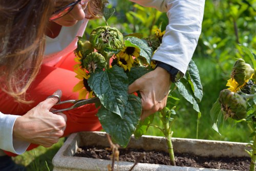 Eco-friendly lawn mowing practices