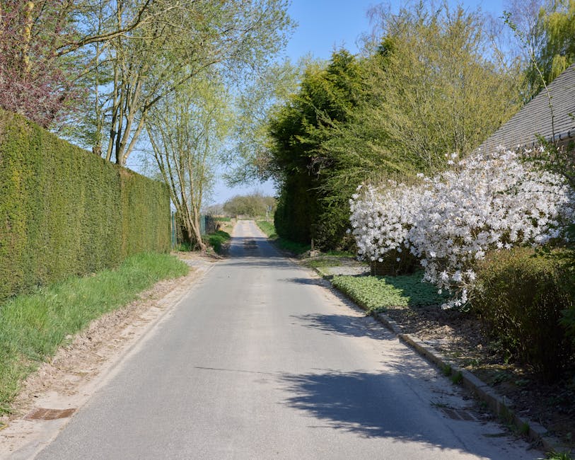 A tranquil residential street lined with well-maintained garden borders and trees under a clear blue sky. On the right, a large shrub with white blossoms contrasts with darker green foliage, while a n